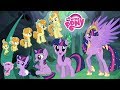 Download My Little Pony GROWING UP Compilation β
All Characters MLP | Top Stars In Mp4 3Gp Full HD Video