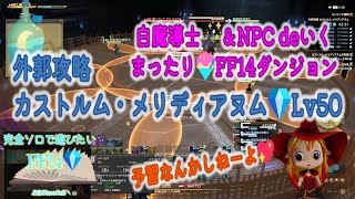 予習は嫌い💖白魔導士🪄＆NPC de≪外郭攻略 カストルム・メリディアヌム(究極幻想アルテマウェポン①)💎Lv50≫いってみたらこうなった❣【17】