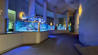 誰もいない！大分マリーンパレス水族館うみたまご館内の全貌動画！