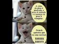 Vídeo engraçado humor #a #caixa #da #pizza