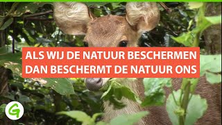 Als wij de natuur beschermen, beschermt de natuur ons