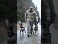 usa🇺🇸 millionaire k9trainer dog dogsoftiktok trending trainingdogs k9 tactical viralshorts fyp