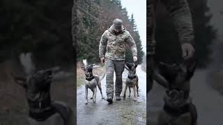 #usa🇺🇸#millionaire#k9trainer #dog#dogsoftiktok#trending# trainingdogs#k9 #tactical#viralshorts#fyp