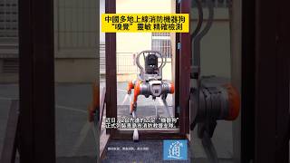 近日，中國多地消防隊正式列裝機器狗。#機器狗 #中國 #china #robotdog