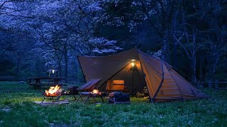 When the cherry blossoms fall, relax solo camping with your dog OneTigris' new tent PLATOON