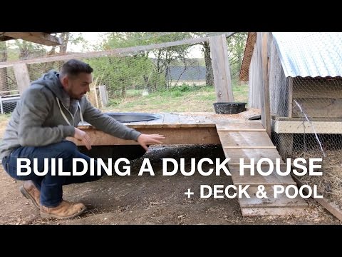 🔨 Building a Duck House w/Deck & Pool On The Farm (coop, pen, run) 🔨 Building a Duck House w/Deck & Pool On The Farm (coop, pen, run)