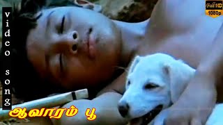 Aalolam paadi Song || Ilayaraja Melody Hits || Vineeth || Sad Feeling Song || HD Video Song