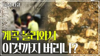 [⌚10분 다큐] 계곡에서 물고기 잡아 회 쳐 먹고, 한 달 동안 텐트 야영?