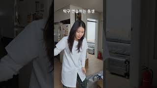 동생이 탁구 연습을 열심히 하는 이유는?