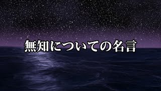 無知と自信、無知の克服、賢明な無知さなど【無知についての名言１０選】