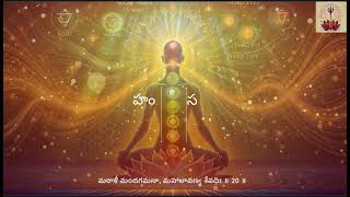 Sloka20: శింజాన మణిమంజీర మండిత శ్రీ పదాంబుజా ।మరాళీ మందగమనా, మహాలావణ్య శేవధిః ॥ 20 #sanathanadharma