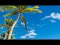 Jahvolan - It Nuh Easy. ( Video +Audio ) 