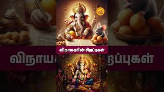 விநாயகரின் சிறப்புகள் | Vinayagar Sirapugal | Vinayagar