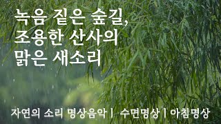 [오늘의 명상] 자연의소리 asmr ㅣ수면 asmrㅣ수면유도음악ㅣ 공부 asmrㅣ수면명상ㅣ수면음악ㅣ잠오는 소리 asmrㅣ잠오는 소리 음악ㅣ