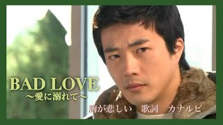 韓国ドラマ　BAD LOVE 〜愛に溺れて〜OST《胸が悲しい》歌詞付き