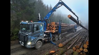 🌲4K|*SCANIA* • Scania R540 • LoggingTruck • Timbertruck • Mause Holz-Transporte • Langholz-LKW🌲