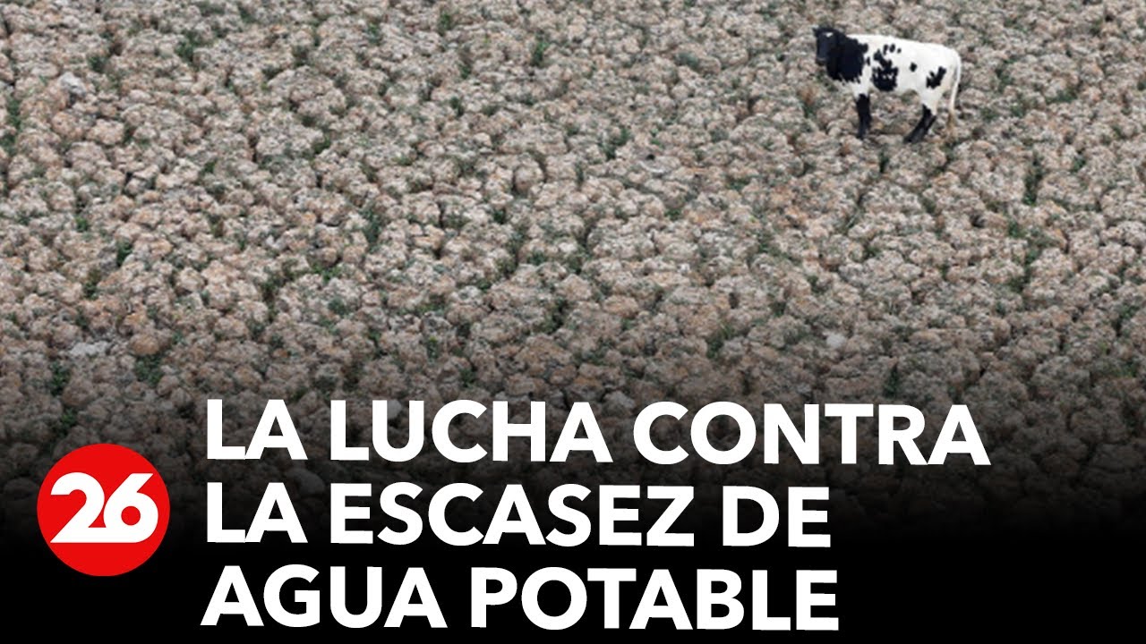 La Lucha Contra La Escasez De Agua Potable Así Se Preparan Las Ciudades