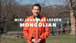 Let's Learn Mongolian!