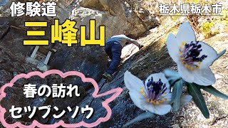 【低山】修験の三峰山・セツブンソウを求めて栃木県栃木市.鹿沼市（2025.2.11）