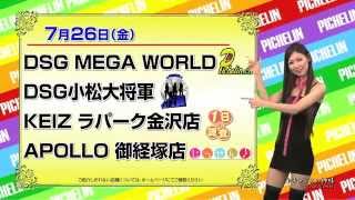 2013年 PICHELIN TVCM 7月22日～7月28日調査予定日