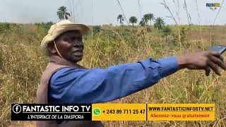 Madimba , la terre fertile du Kongo central ( piment doux , piment , manioc )