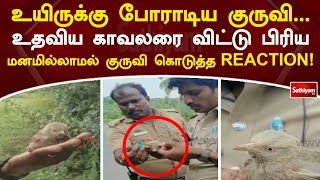 உயிருக்கு போராடிய குருவி    உதவிய காவலரை விட்டு பிரிய மனமில்லாமல் குருவி கொடுத்த REACTION !