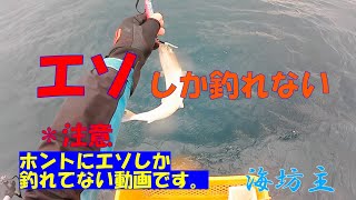 エソしか釣れない動画です。