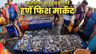 harnai fish market | हर्णे बंदर | dapoli fish market | #kokan #dapoli