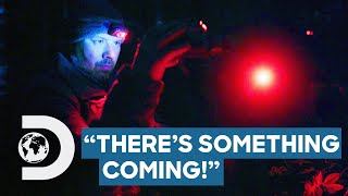 Bigfoot Lashes Out After Being Tracked With Red Lasers | Alaskan Killer Bigfoot