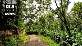 [ 4K - UHD ] 🔥 Scenic Drive Idukki 🔥 Rajakkad Town 🔥 Village Roads Kerala, India 🔥 60 FPS