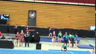 Gymnastics - Level 6 - Virginia State Meet Championship - Vault #1 - April 15, 2016