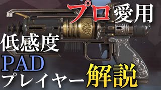 【APEX】理論値最強武器ウィングマンを徹底解説