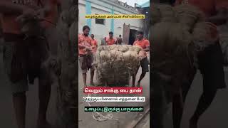 ஒரு சாக்கு பைக்கு பின்னாடி எத்தனை பேர் உழைக்கிறாங்க பாருங்கள் மக்களே