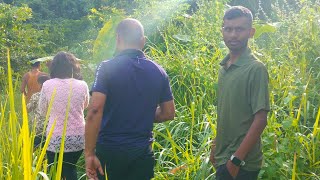 CX37+97V Dewri Bagan Waterfall, Jatiakachari Gaon, Assam 782139