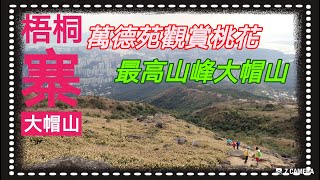 梧桐寨觀賞桃花｜最高山峰大帽山