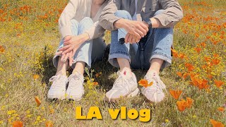 LA Vlog | 미국 일상 브이로그 🇺🇸 | 주말모음.zip