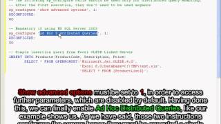 [SQL Server] Importing Excel data as table records
