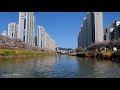 4k 🌸3월의 마지막 휴일 산책 march s last holiday walk. busan s korea