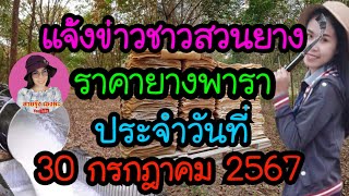 แจ้งข่าวชาวสวนยาง ราคายางพาราประจำวันที่ 30 กรกฎาคม 2567