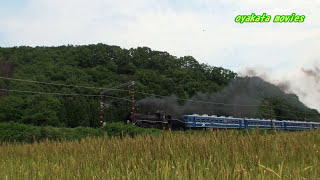 【C56 160】　2014 5 25 SL北びわこ号