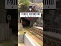 analog vs. digital trains shorts modelrailroad trains https bit.ly 3qufemj