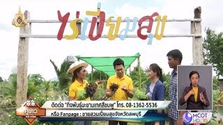 เคียงคู่รู้ค่ากับ ธ.ก.ส. | ไร่เปี่ยมสุข จ.ลพบุรี