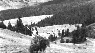 DSSk Povoja - Ej, slniečko horúce; Bola som na hubách (Slovak Meadow Songs)