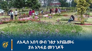 ለአዲስ አበባ ውብ ገፅታ እየጨመሩ ያሉ አካፋይ መንገዶች