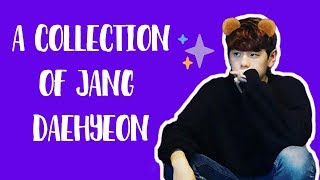 A Collection of Jang Daehyeon