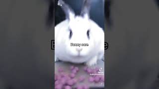 DmDeY TMMn0