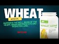 GNLD NEOLIFE Wheat Germ Oil Health Benefits