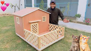 Surprise Cat House Ban Kr A Gia 🥰