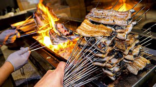 The Best Japanese Grilled Eel, Unagi! 100 bowls sold out every day - Korean street food