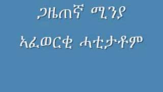 ኣብ ኣኼባ ኣዲስ ኣበባ ዝተሳተፉ 3ተ ምሁራት ኤርትራውያን